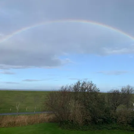 Gruene Duene Meerblick Spitze Friedrichskoog