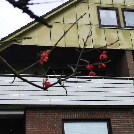 Gruene Duene Meerblick Spitze * Friedrichskoog-Spitz