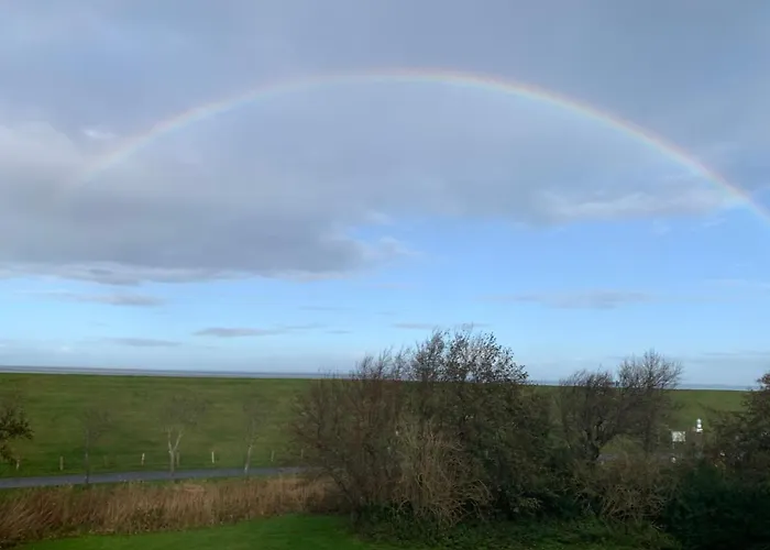 Gruene Duene Meerblick Spitze Friedrichskoog-Spitz