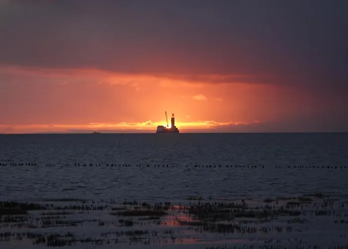 Gruene Duene Meerblick Spitze * Friedrichskoog