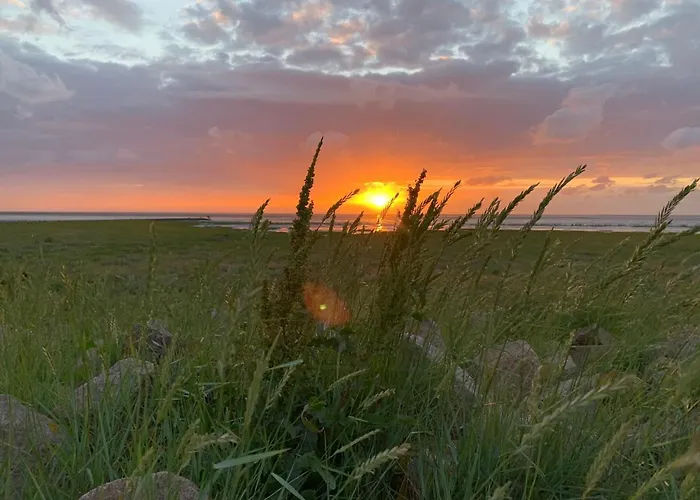 Gruene Duene Meerblick Spitze *