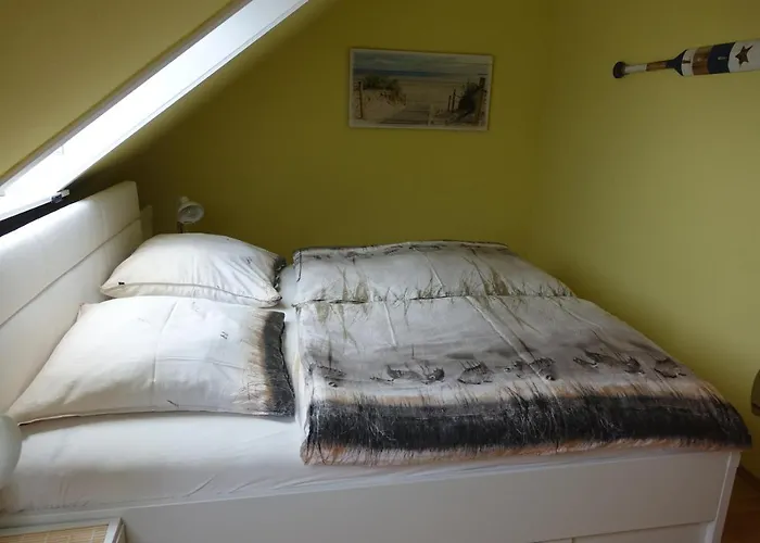 Gruene Duene Meerblick Spitze Friedrichskoog-Spitz