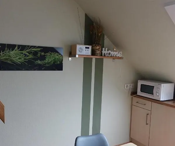 Gruene Duene Meerblick Spitze Friedrichskoog-Spitz