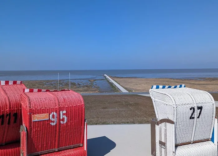 Gruene Duene Meerblick Spitze * Friedrichskoog